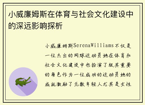 小威廉姆斯在体育与社会文化建设中的深远影响探析